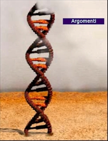 La scala del DNA