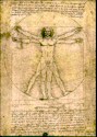 L'uomo di Vitruvio disegnato da Leonardo