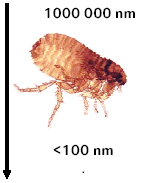 Scala nanometrica.gif