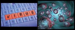 Virus: informatici e biologici