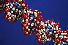 dna.jpg (6964 byte)