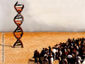 DNA pubblico