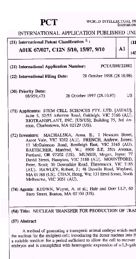 wo-patent01.gif (30722 byte)