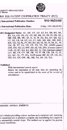 wo-patent02.gif (22193 byte)