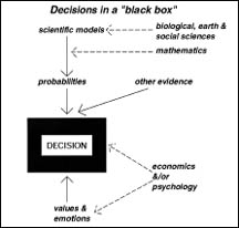 Decision in a black box